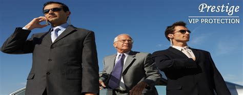 VIP Protection Static Animation 的图像结果