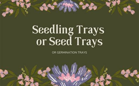 SUSHILA AGROFERT Seed Trays Kit 126 Cavity Set of 10 Seedling Trays for ...