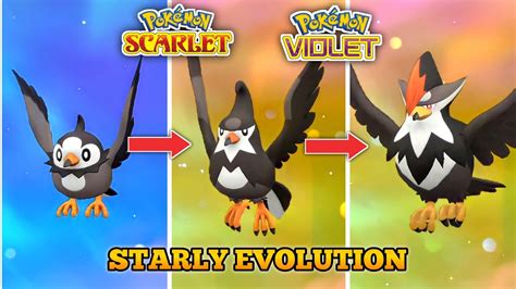 Image result for Starly Evolution Level