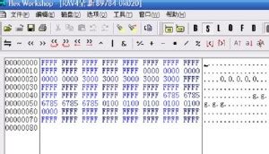 Program 2013 RAV4 Key 的图像结果
