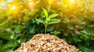 Top-10 Countries with the Most Electric Cars in 2025, Check the List