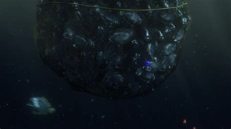 Image result for Finding Nemo Fish Net