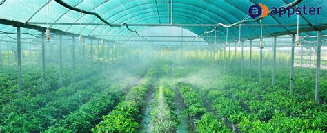 APPSTER 10pcs 4-Way Fogger Assembly Complete 1/2" Threaded with Anti ...