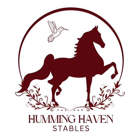 Horseback Riding Lessons at Humming Haven Stables