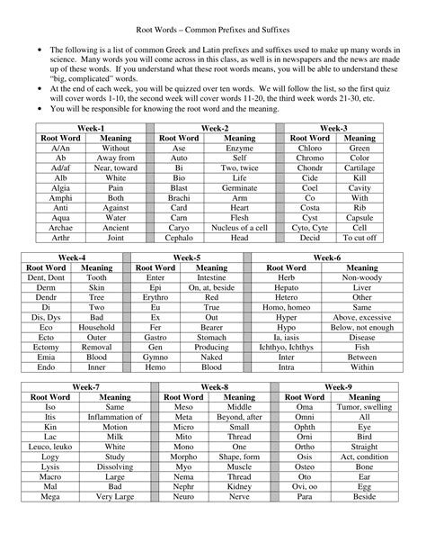 Root Words with Common Prefixes and Suffixes