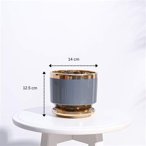 Aurelius Round Ceramic Pot – Ugaoo