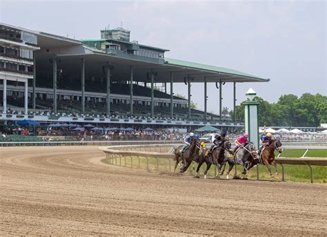 Betting 101: Learn How to Bet Horse Racing - NYRA Bets