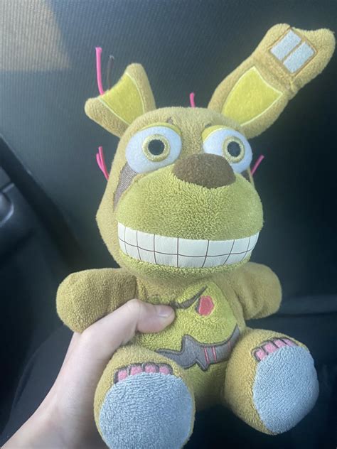 Image result for Spring Trap Real