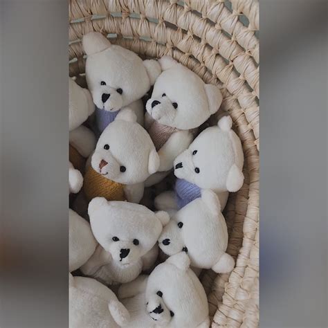 Mousy Bear – Madras Prop Store