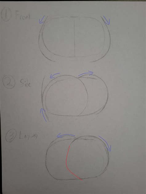 Butt Drawing Tutorial by Jacob-S21 on DeviantArt
