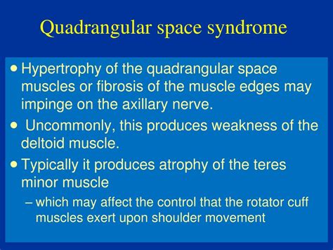 PPT - Anatomy of Shoulder Complex by Dr. Fadel Naim - Orthopedic Surgeon PowerPoint Presentation ...