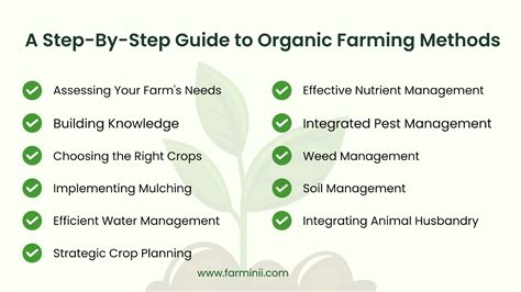A Step-By-Step Guide to Organic Farming Methods - Farminii