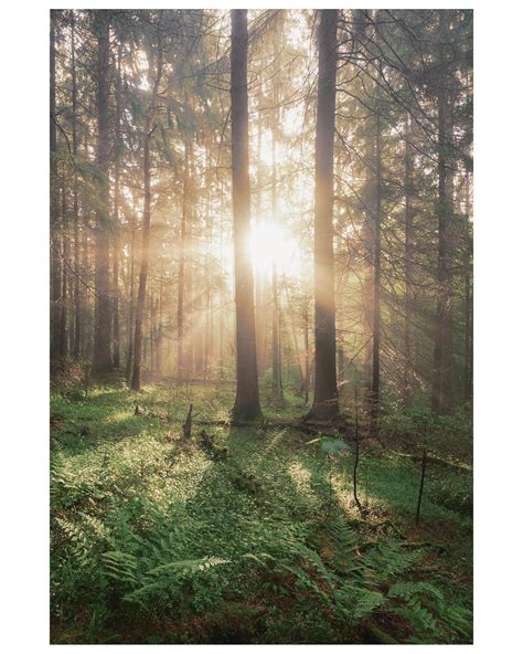 Mark Rockwell | Friday at last! . . . . @fujifilmx_us . . . . #stademagazine #take_magazine # ...