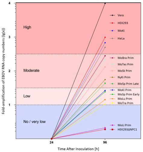 Tolerance and Persistence of Ebola Virus in Primary Cells from Mops ...