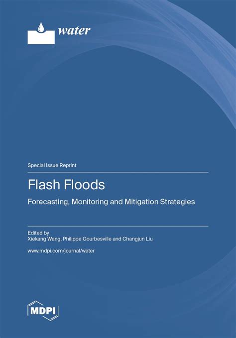 Flash Floods: Forecasting, Monitoring and Mitigation Strategies | MDPI ...