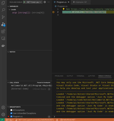 vs Code C Debug 的图像结果