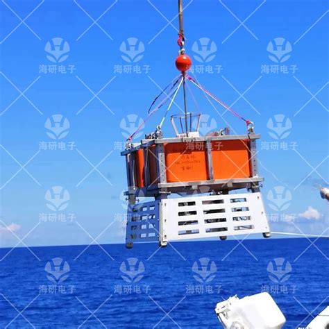 SCP 4307 的图像结果