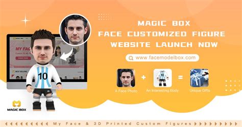 Image result for Box Face Model