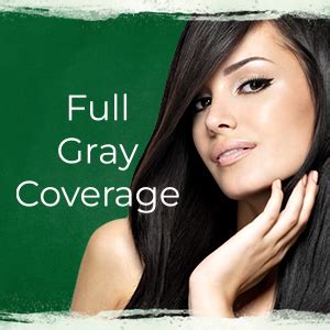 Buy Cultivator's Organic Hair Colour - Walnut - Professional Herbal Dye ...