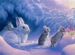 Image result for Cute Rabbits and Bunnies