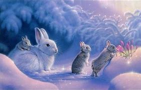 Image result for Animals Rabbits and Bunnies
