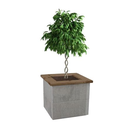 Shop Belgard DESIGNFORMS 2 ft Square Planter with Wood Cap Project Kit ...