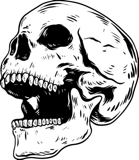 Skull Vector 的图像结果