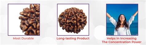 Arihant Gems & Jewels® Natural 7 Mukhi Nepali Rudraksha | Certified ...