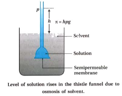 Explain : What is osmosis ? Give example.