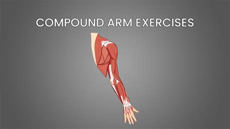 Image result for Computer Arm Exercises