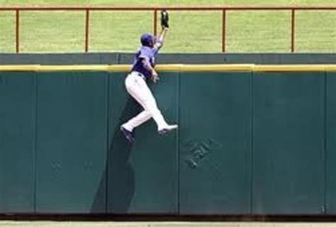 Baseball Dashing Catch 的图像结果