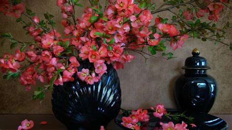 Download wallpaper Flowers, still life, beautiful, section flowers in ...
