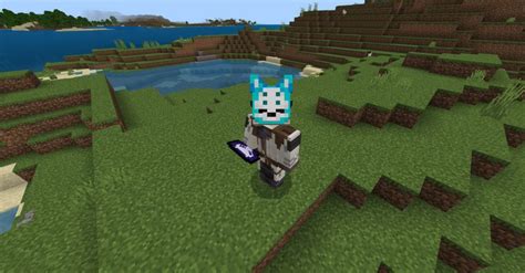 Image result for Minecraft Mask Mod
