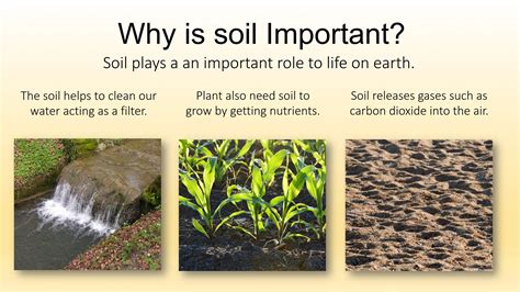 Soil Editable Basics Properties for Kids | PDF