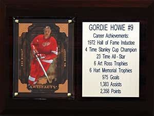 Buy NHL Detroit Red Wings Gordie Howe Career Stat Plaque, 6" x 8 ...
