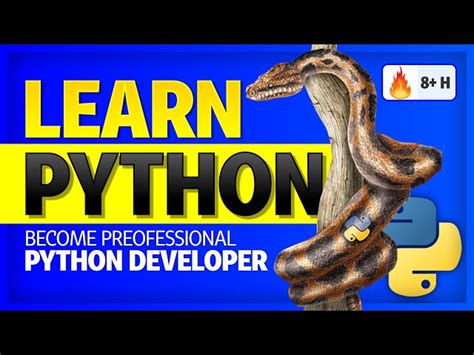 Learn Python in One Hour 的图像结果