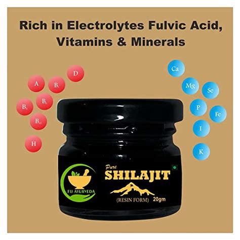 Buy FIJ AYURVEDA PURE SHILAJIT/SHILAJEET RESIN 20GM & RAW SHILAJIT ...
