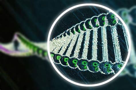 Interesting Genetics 的图像结果