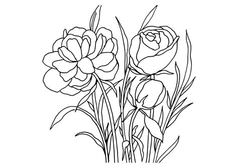 Outline Drawing Definition