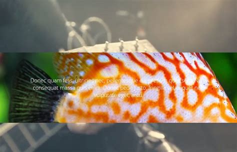 Parallax Effect HTML 的图像结果