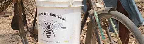 Royal Bee Brothers Raktbeej Forest Honey, Raw & Unprocessed, From ...