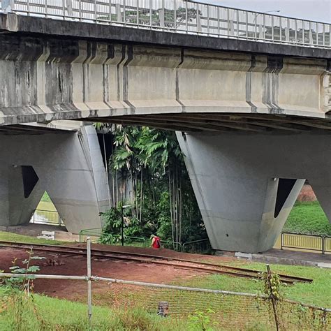 THE OLD JURONG RAILWAY LINE TRAIL (2024) All You Need to Know BEFORE ...