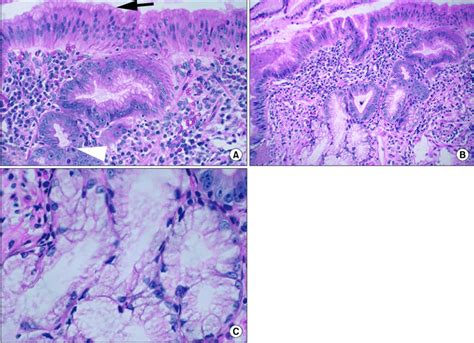 Image result for String Array C# Code
