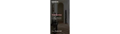 The Curios October 2025 | Sculptural Art & Luxury Decor – Spacio