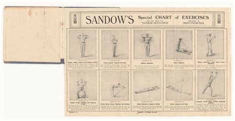 Image result for Chest Expander Workout Routine