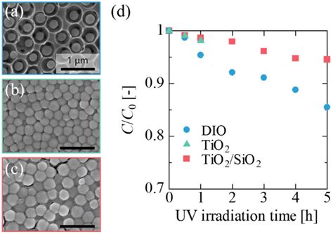 Double-Inverse-Opal-Structured Particle Assembly as a Novel Immobilized ...