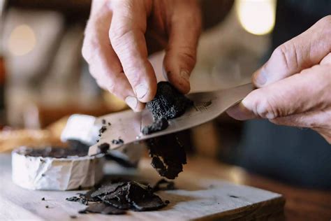 What Does Truffle Taste Like: Earth's Hidden Culinary Jewel