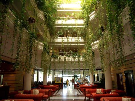 Image result for Inside Atrium