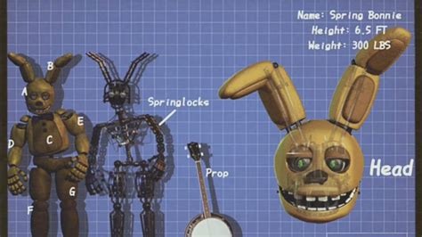 Image result for Original Spring Lock Failur