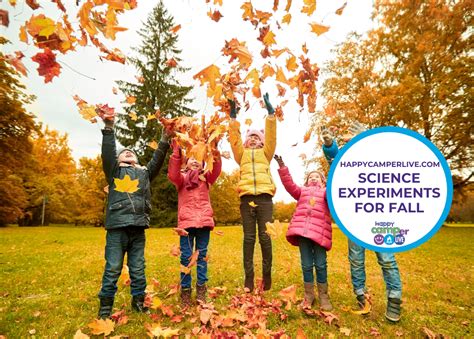 Image result for Free Fall Experiments